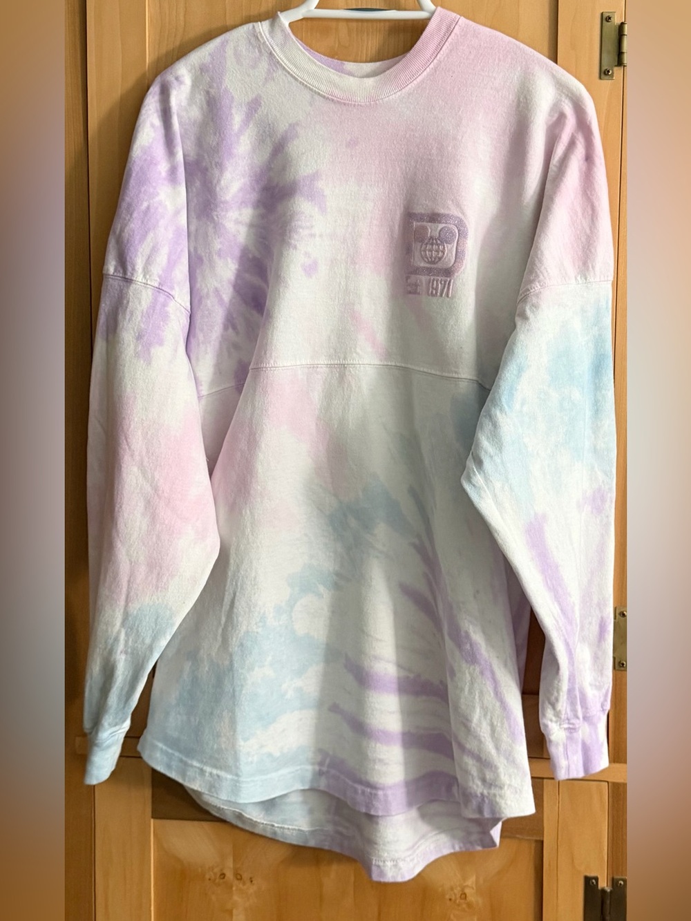 Spirit Jersey Walt Disney World Sweatshirt